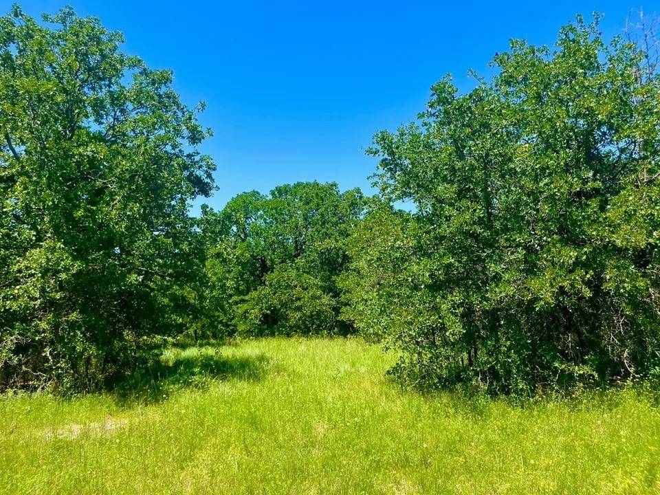 Poolville, TX 76487,Lot 34 Galway Rd