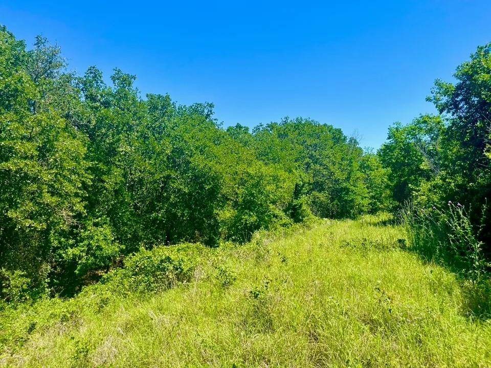 Poolville, TX 76487,Lot 35 Galway Rd