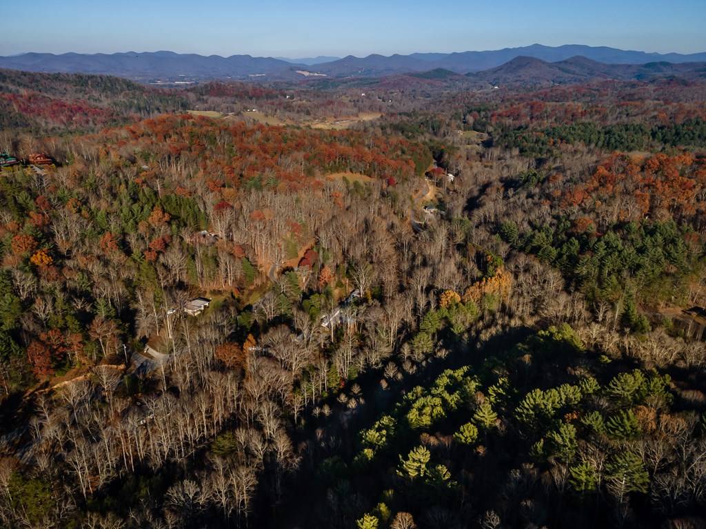 Blairsville, GA 30512,17 Acres Mulky Branch Lane