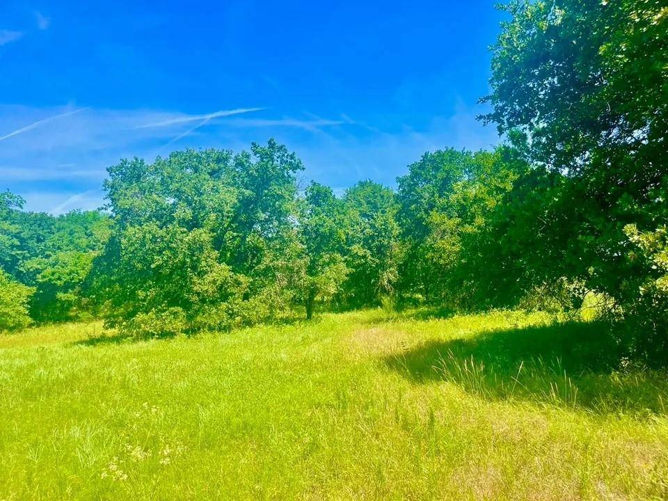 Poolville, TX 76487,Lot 98 Arlow Rd