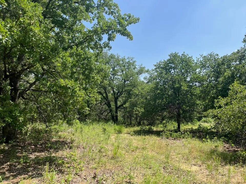 Poolville, TX 76487,Lot 43 Antrim Ct