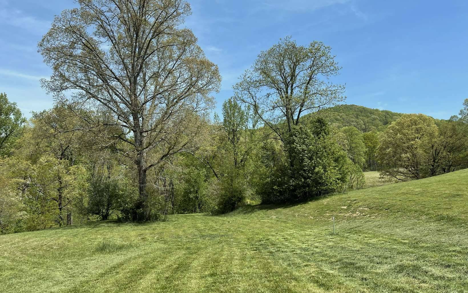 Blairsville, GA 30512,LT 16 The Arbor