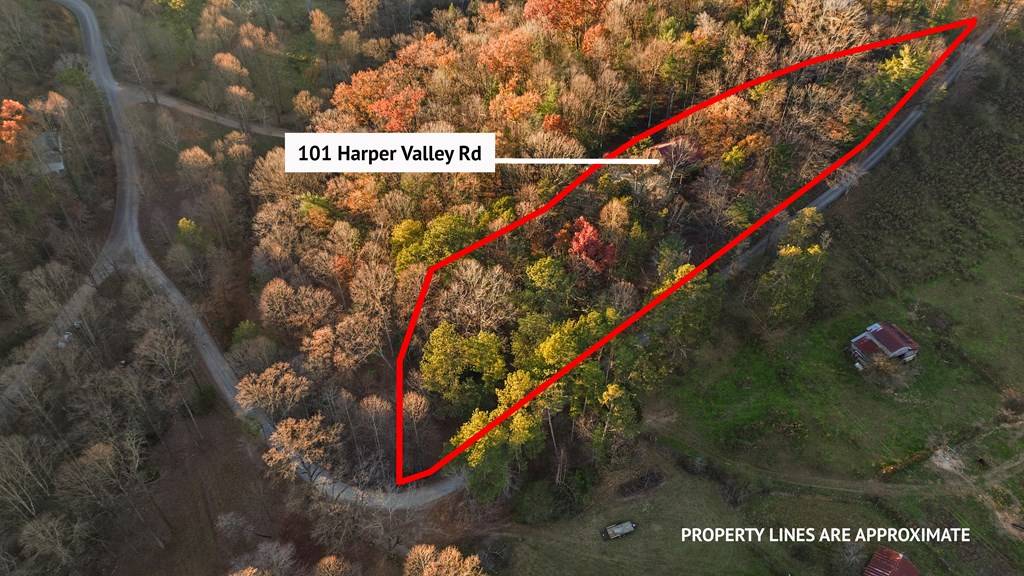 Ellijay, GA 30540,101 Harper Valley