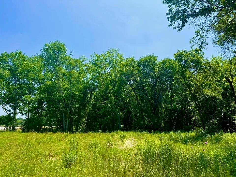 Poolville, TX 76487,Lot 46 Antrim Ct