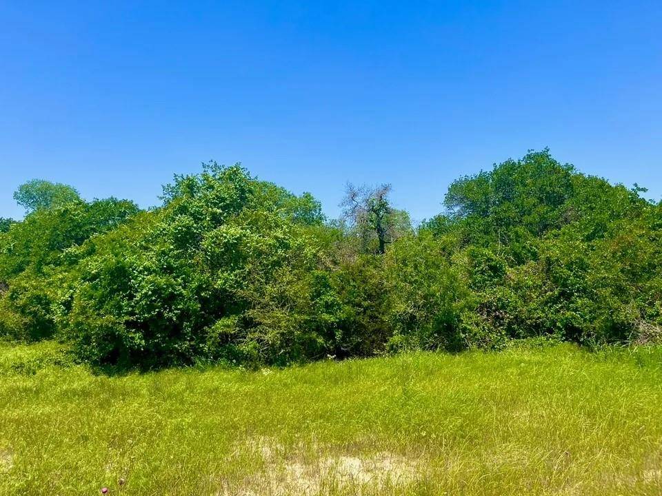 Poolville, TX 76487,Lot 48 Antrim Ct