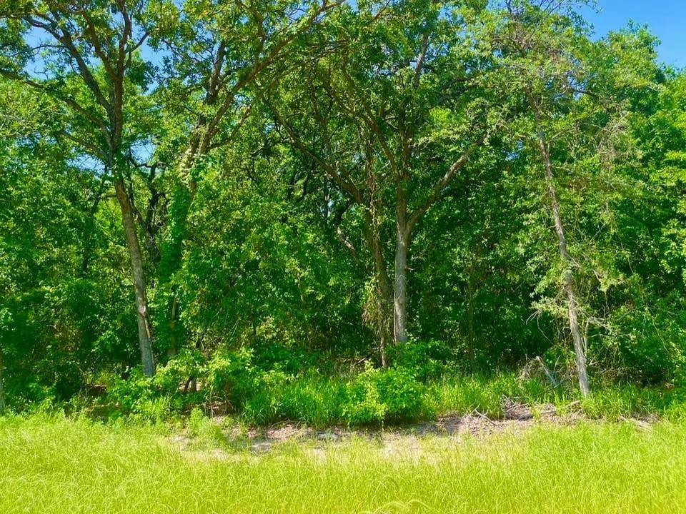 Poolville, TX 76487,Lot 48 Antrim Ct