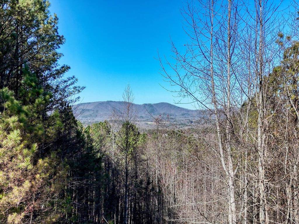 Blairsville, GA 30512,Lot 24 Loftis Mountain