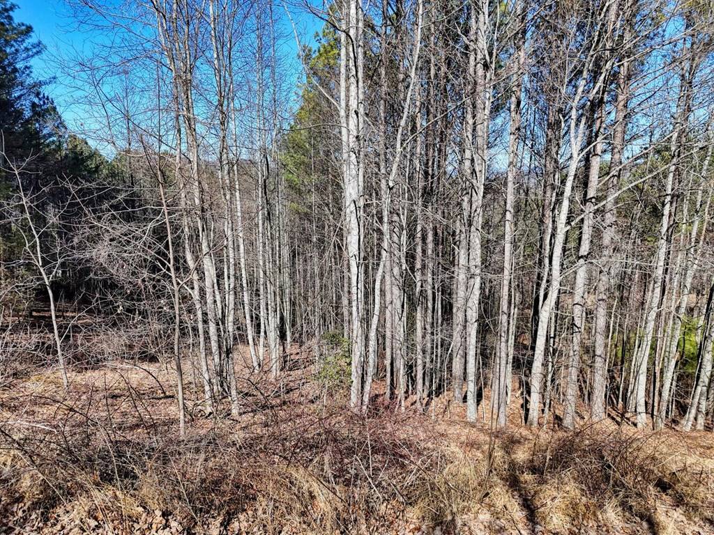 Blairsville, GA 30512,Lot 24 Loftis Mountain