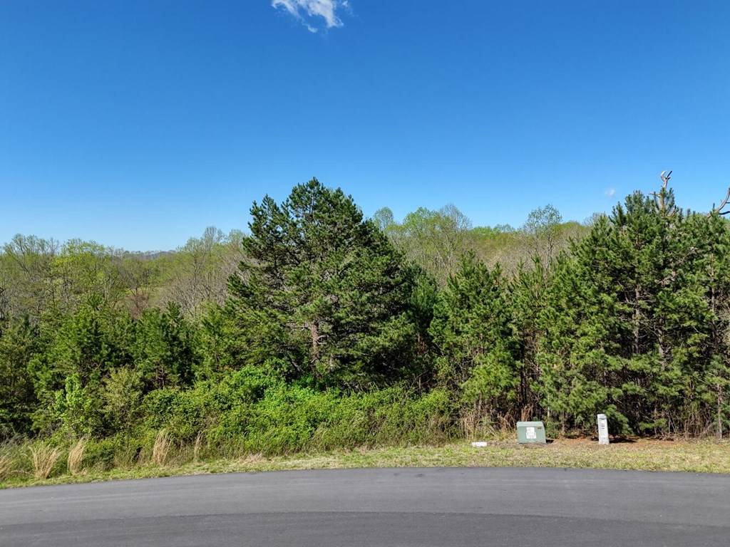 Blairsville, GA 30512,Lot 44 Owen Vista