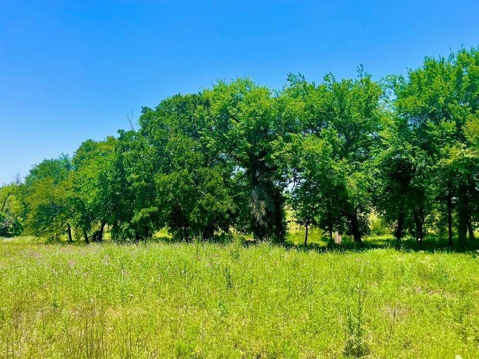 Poolville, TX 76487,Lot 89 Kerry Ct