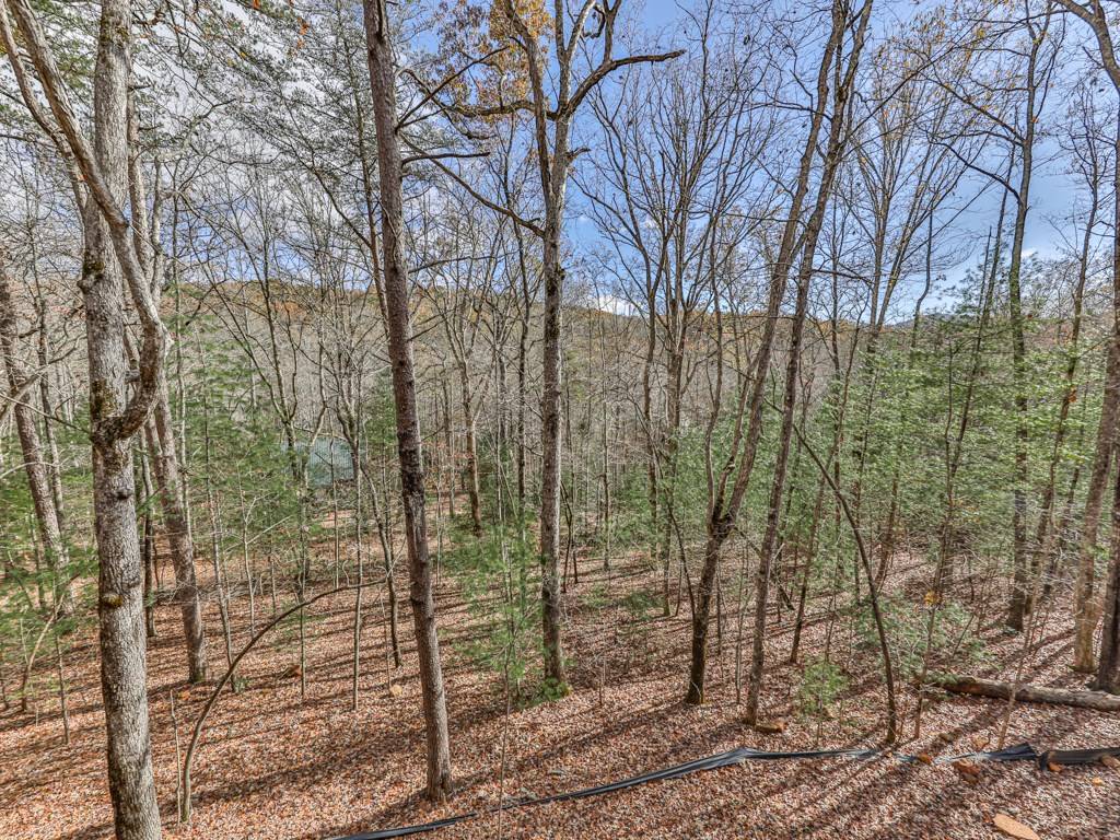 Blue Ridge, GA 30513,307 Mangums Trail