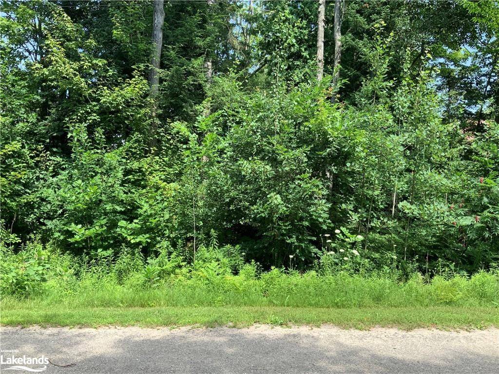 Tiny, ON L9M 0H4,LOT 524 TALL PINES DR