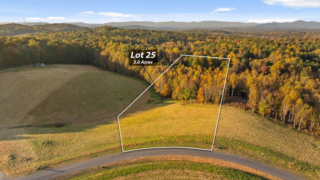 Talking Rock, GA 30175,Lot 25 Bravo Way