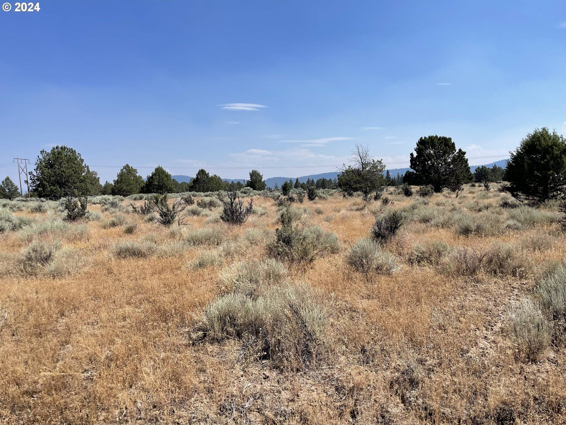 Chiloquin, OR 97624,Rim DR #13