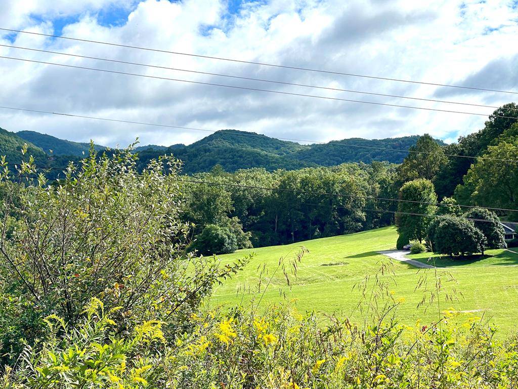 Hayesville, NC 28904,LOT 18 Carolie View