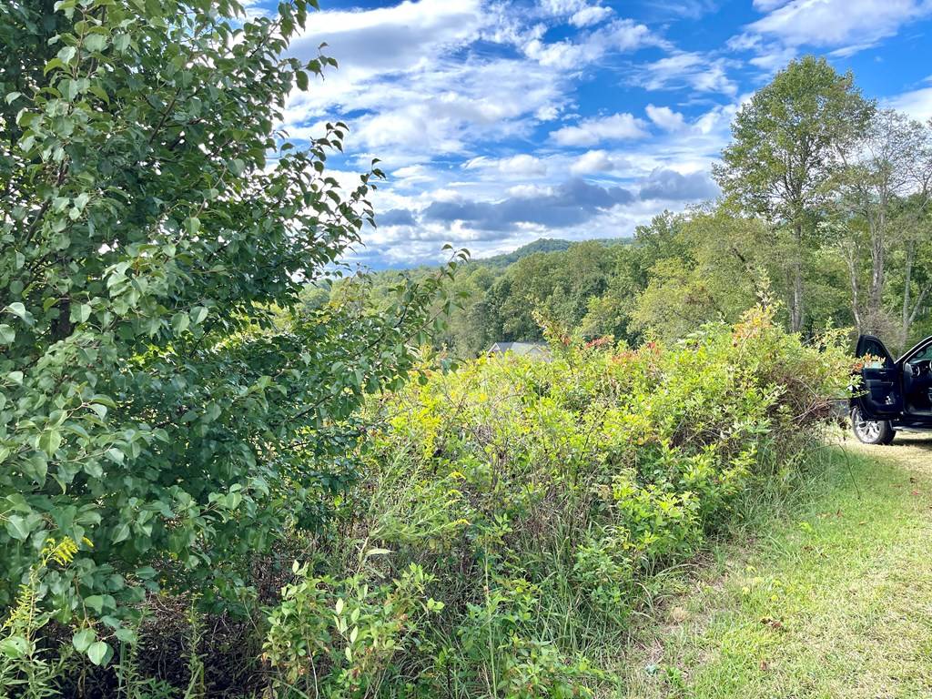 Hayesville, NC 28904,LOT 18 Carolie View