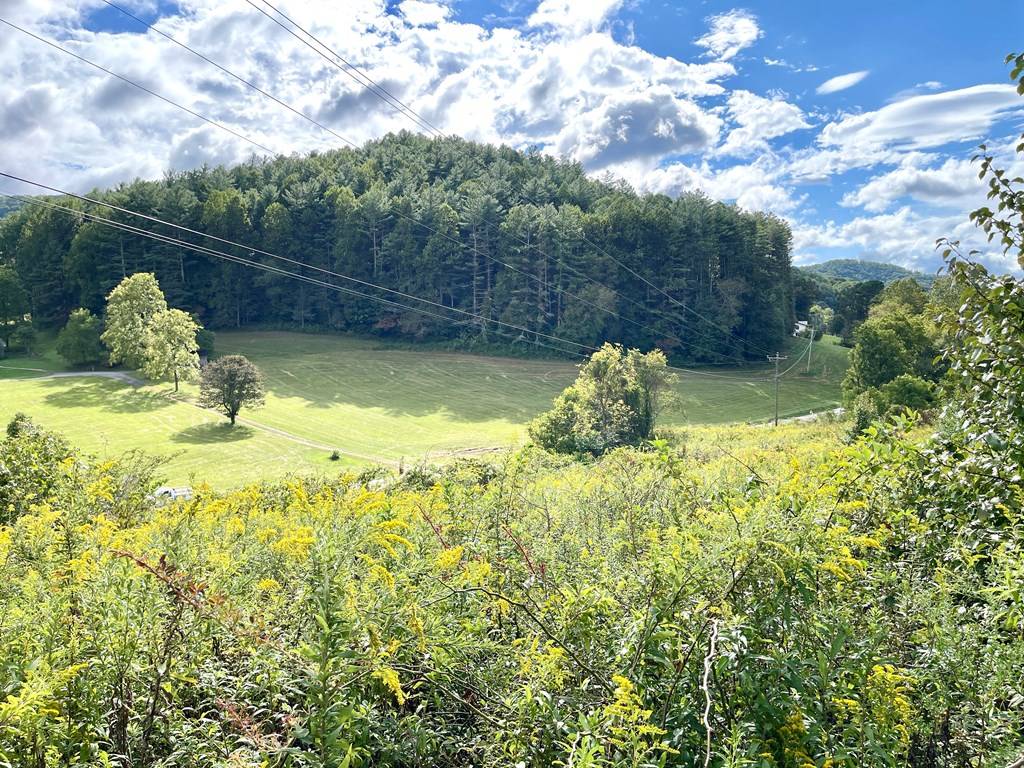 Hayesville, NC 28904,LOT 18 Carolie View