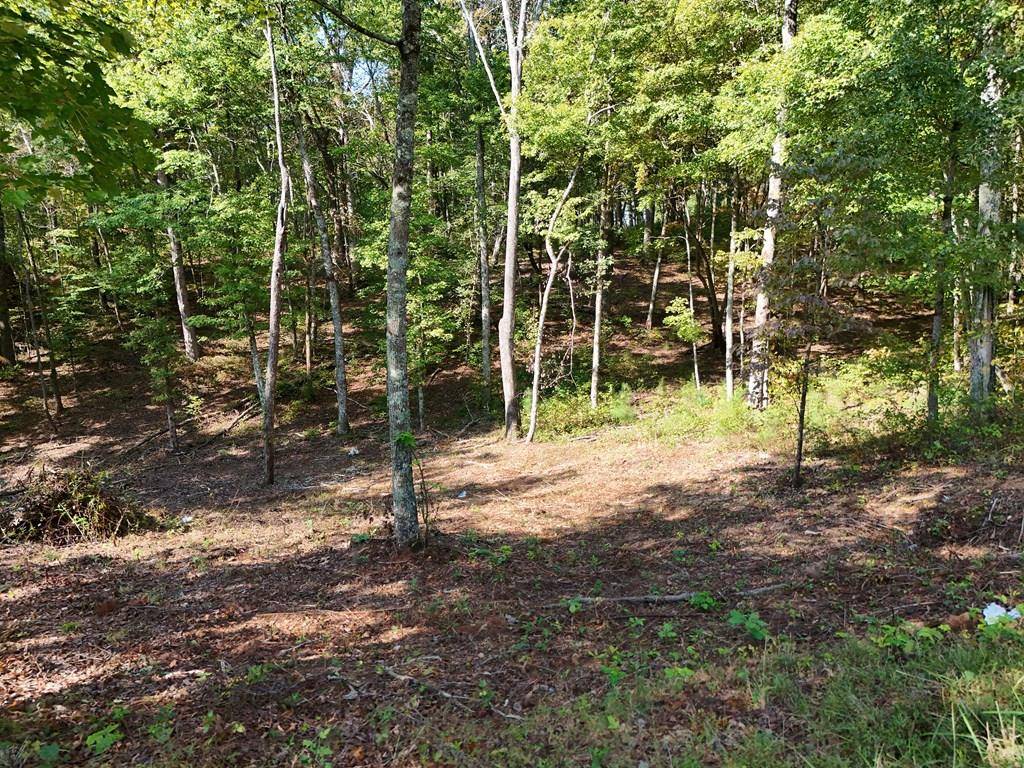 Ellijay, GA 30540,Lot 52 Hilton Drive