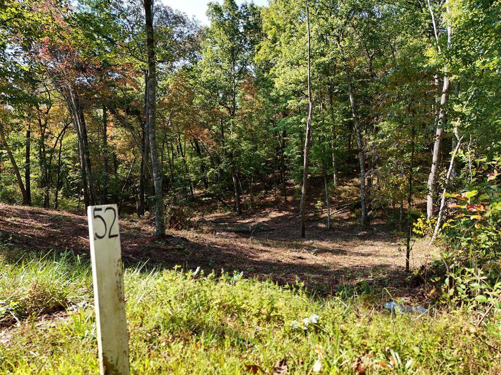 Ellijay, GA 30540,Lot 52 Hilton Drive