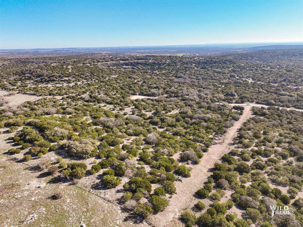 Ovalo, TX 79541,TBD Red Oak Road