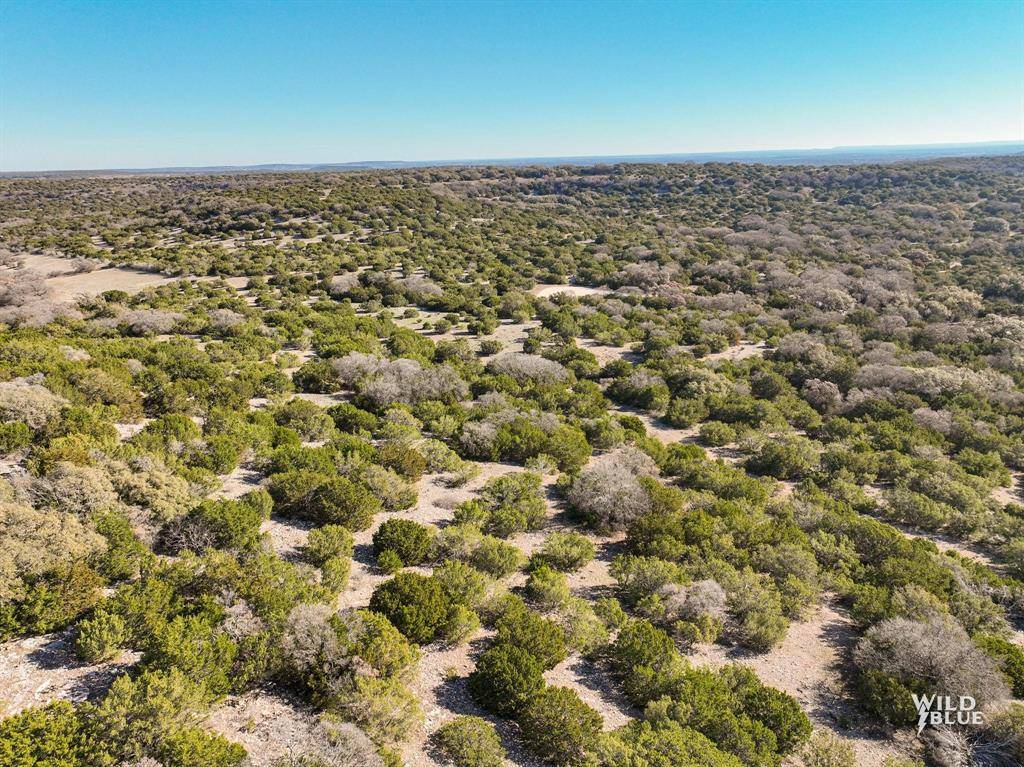 Ovalo, TX 79541,TBD Red Oak Road