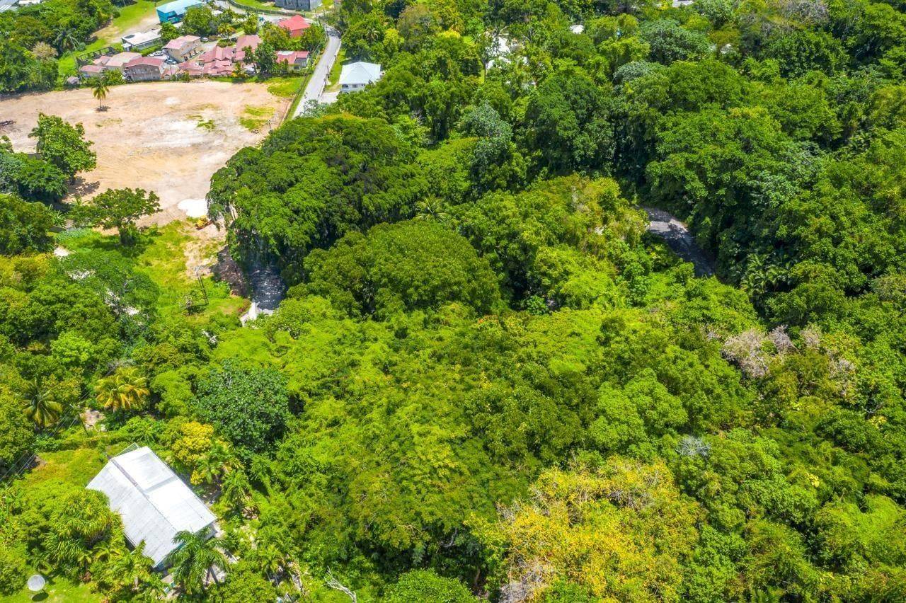 Jamaica,,Lot #9 Shaw Park (Milford Rd.) N/A