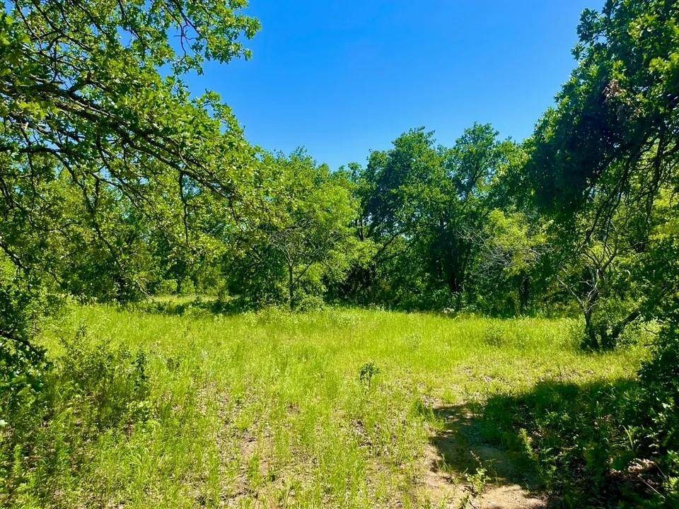 Poolville, TX 76487,Lot 39 Kilkenny Rd