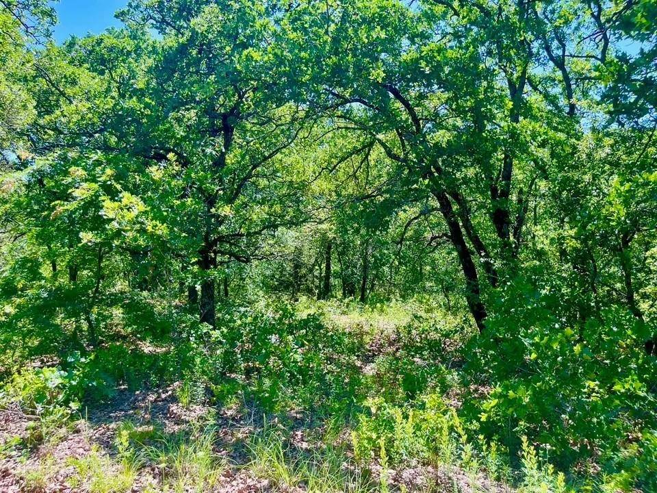 Poolville, TX 76487,Lot 39 Kilkenny Rd