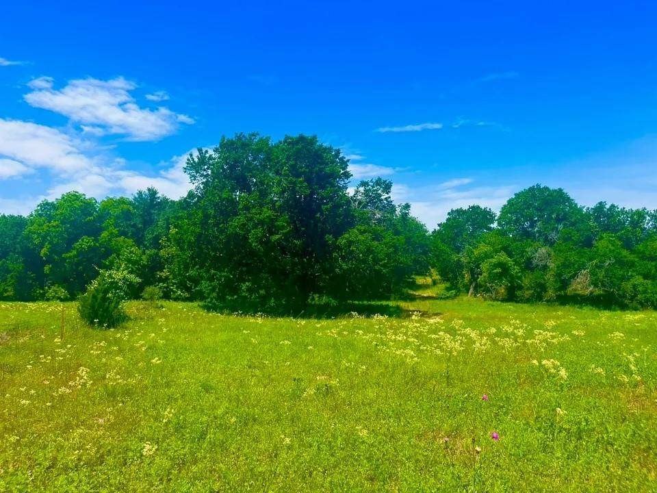 Poolville, TX 76487,Lot 100 Arlow Road