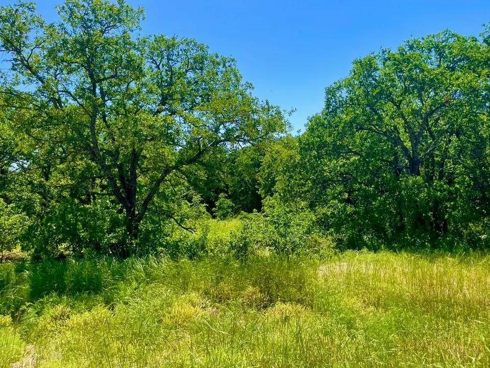 Poolville, TX 76487,Lot 40 Kilkenny Road