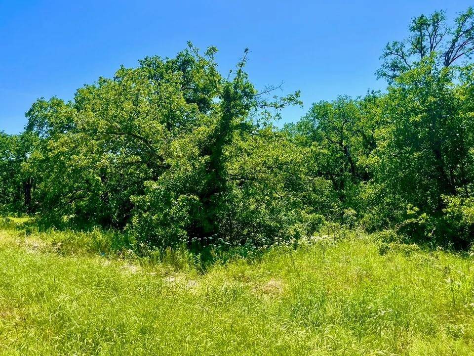 Poolville, TX 76487,Lot 40 Kilkenny Road