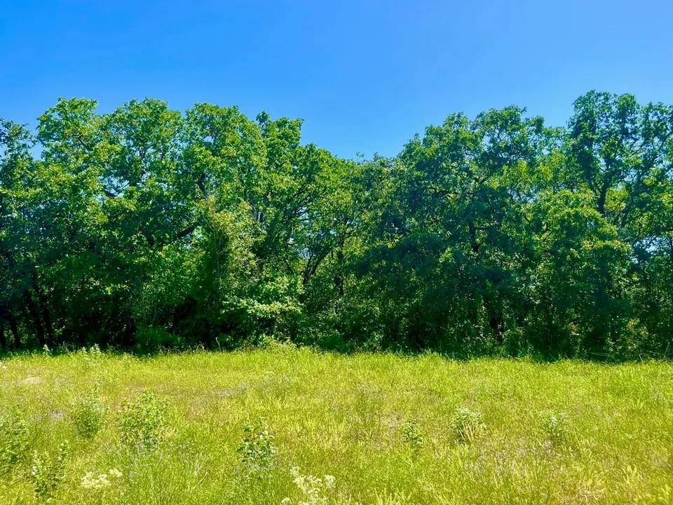 Poolville, TX 76487,Lot 40 Kilkenny Road