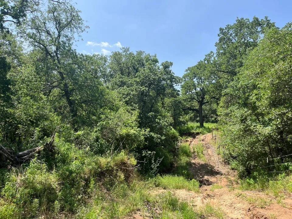 Poolville, TX 76487,Lot 44 Antrim Ct