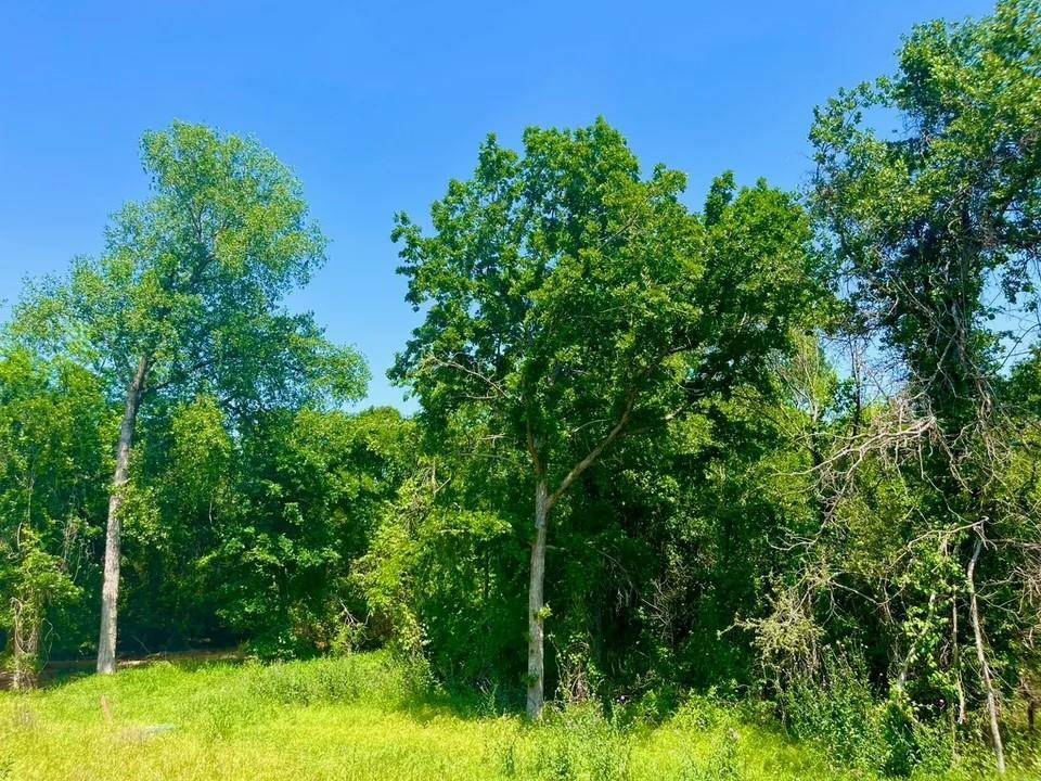 Poolville, TX 76487,Lot 47 Antrim Ct