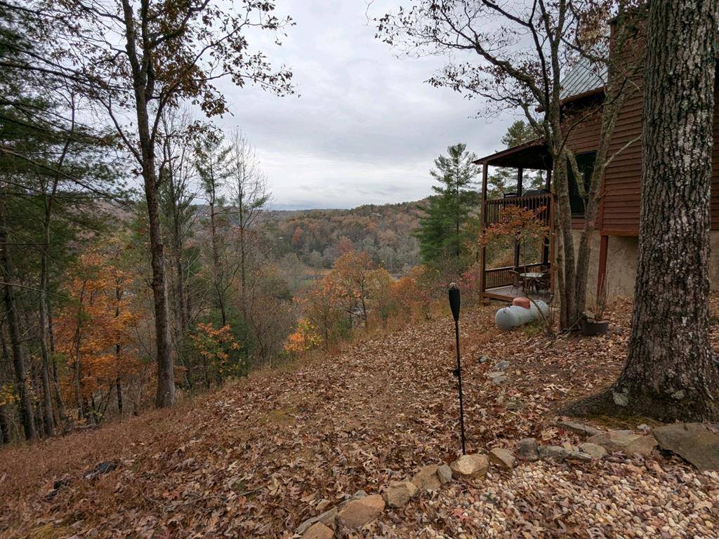 Mineral Bluff, GA 30559,270 Moonshine Mountain Road