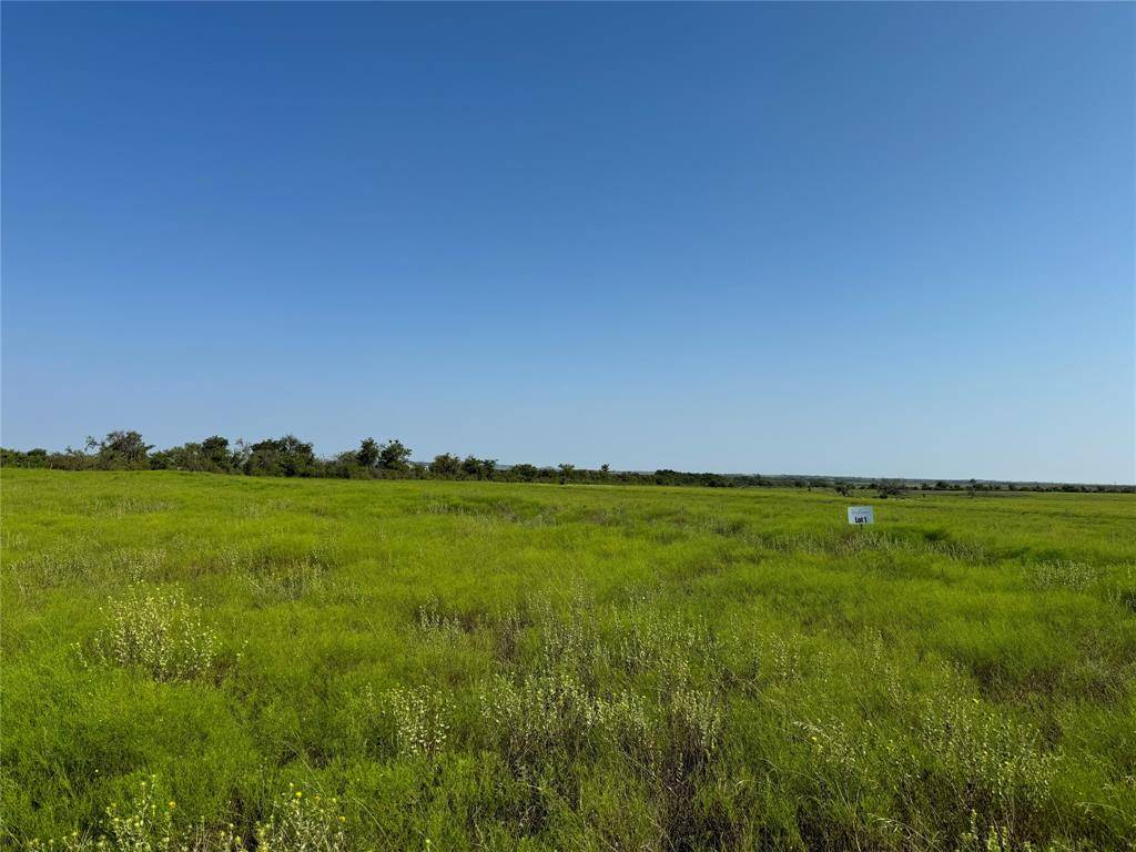 Hamilton, TX 76531,Lot 1 Private Road 6332