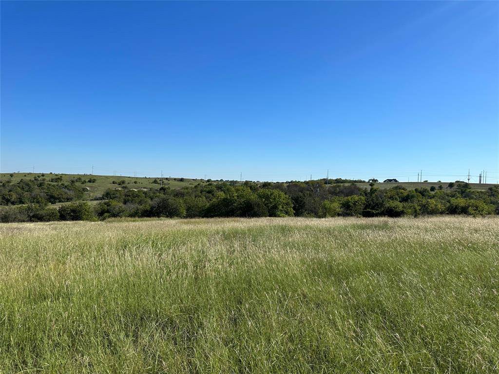 Weatherford, TX 76085,Lot 5 Old Springtown Rd Road