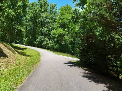 Hiawassee, GA 30546,Lot 10 Hidden Summit Road