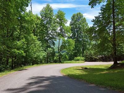 Hiawassee, GA 30546,Lot 10 Hidden Summit Road