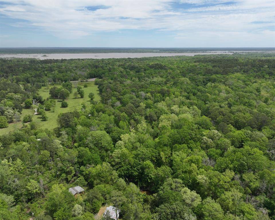 Colmesneil, TX 75938,000 County Road 3709