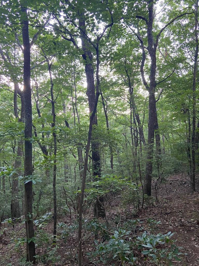 Ellijay, GA 30536,Lot 57 Cherokee Circle