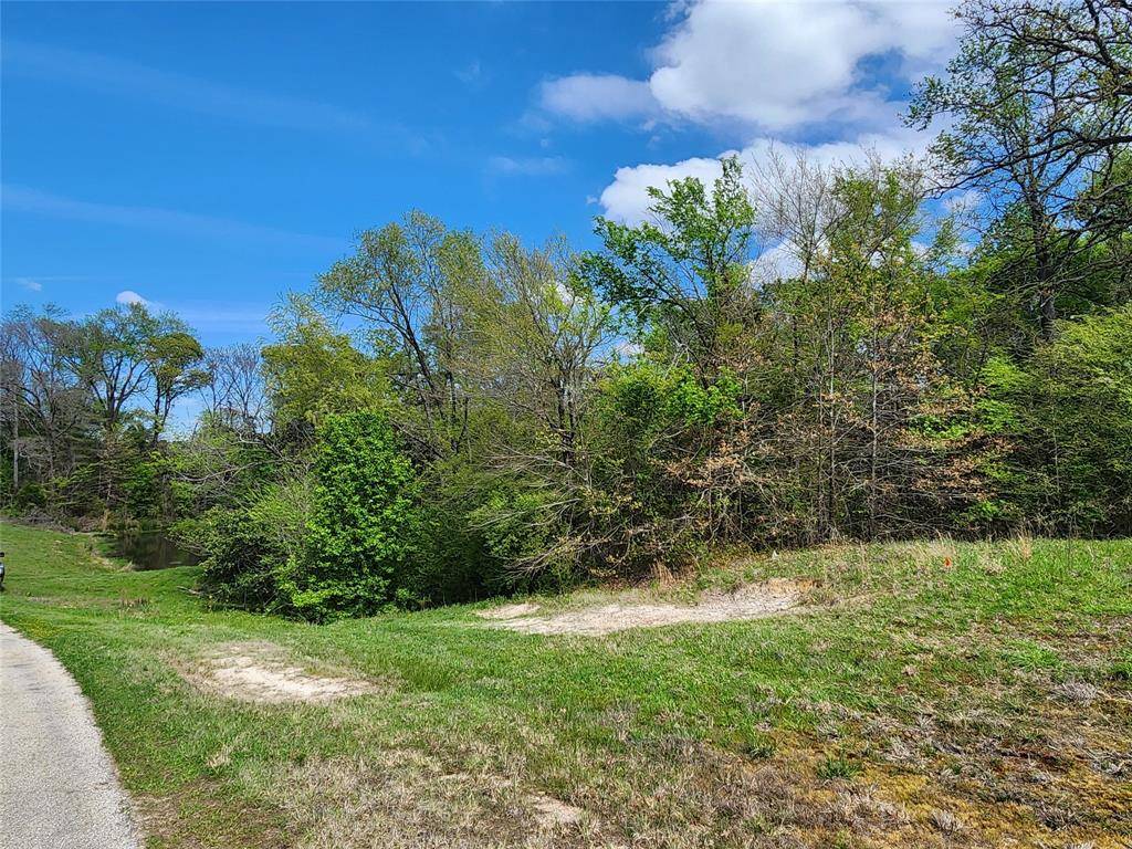 Athens, TX 75752,Lot 179 Rolling Hills Court