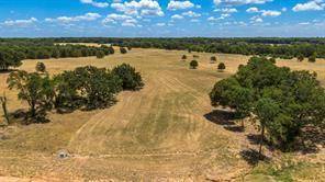 Streetman, TX 75848,TBD Lot 46 Paradise Cove