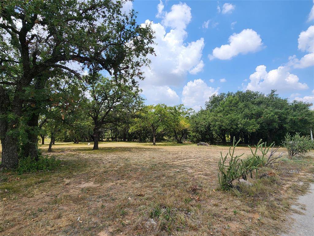 Bangs, TX 76823,1101 County Road 156