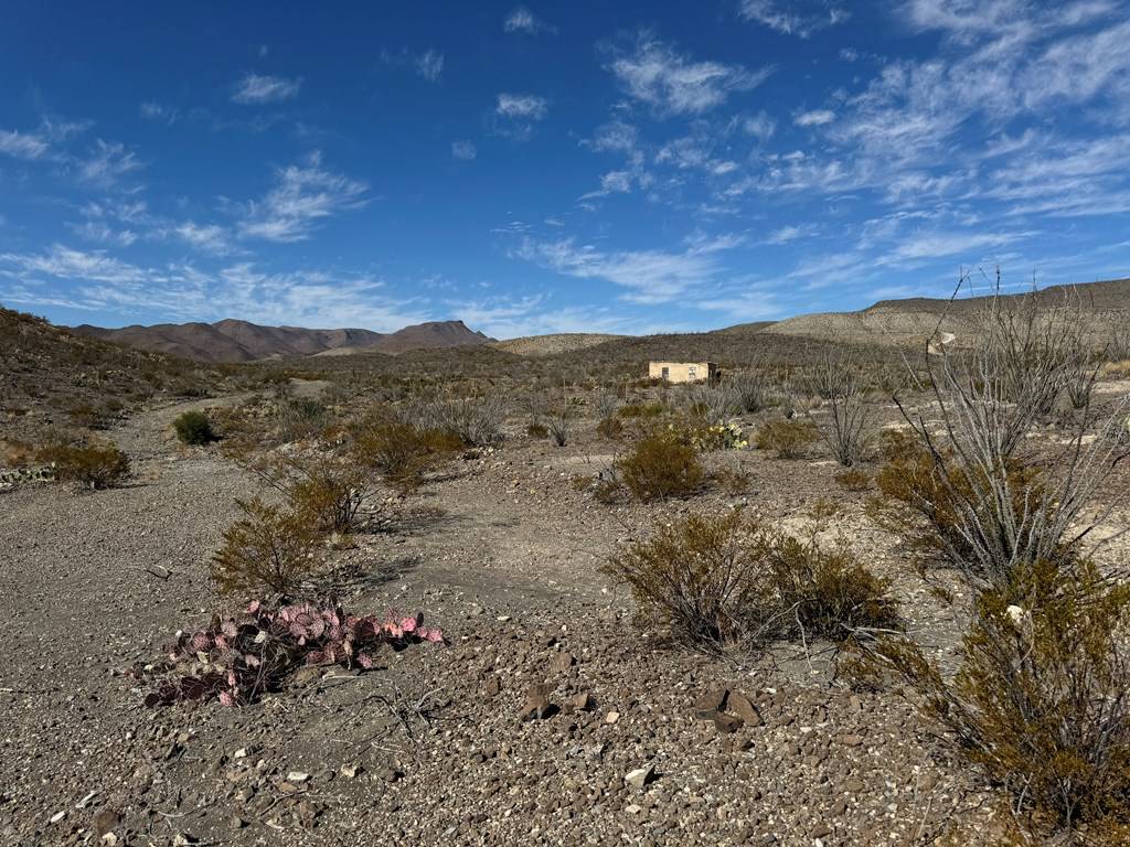 Terlingua, TX 79852,40 Red Fox Rd.