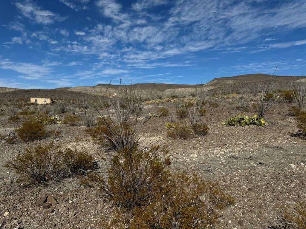 Terlingua, TX 79852,40 Red Fox Rd.