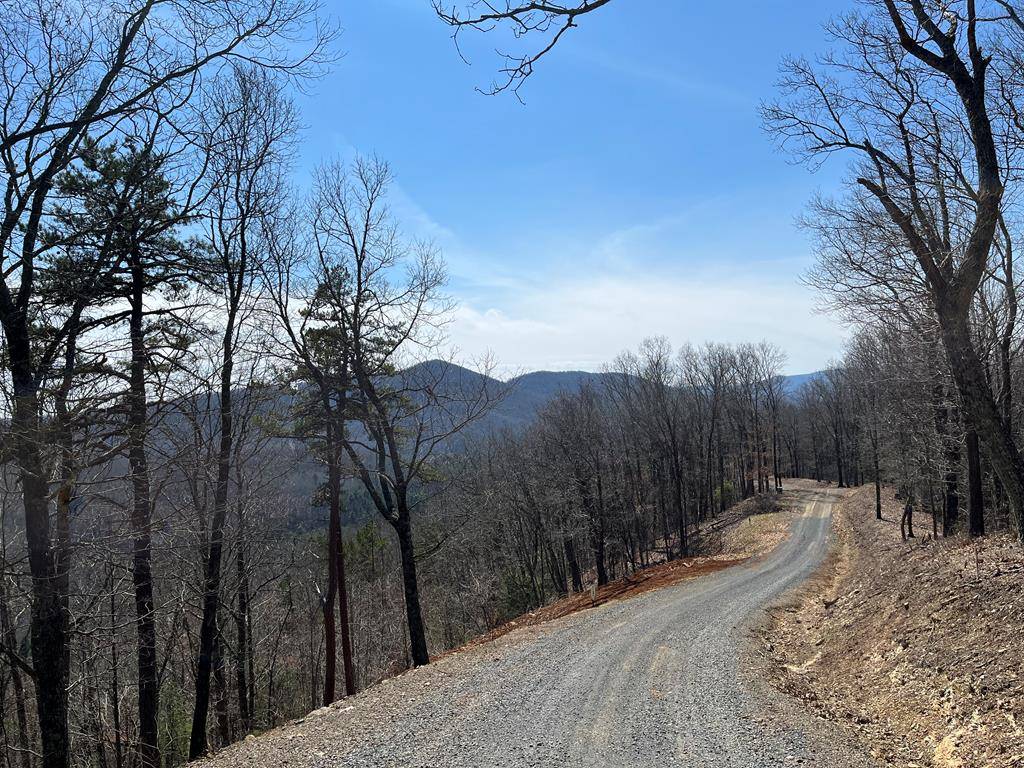 Austinville, VA 24312,TBD Mountain Pine Trail