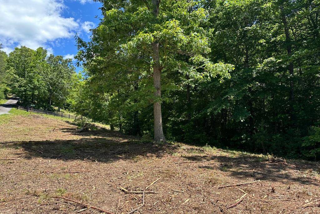 Hayesville, NC 28904,Lot 8 Moore Acres