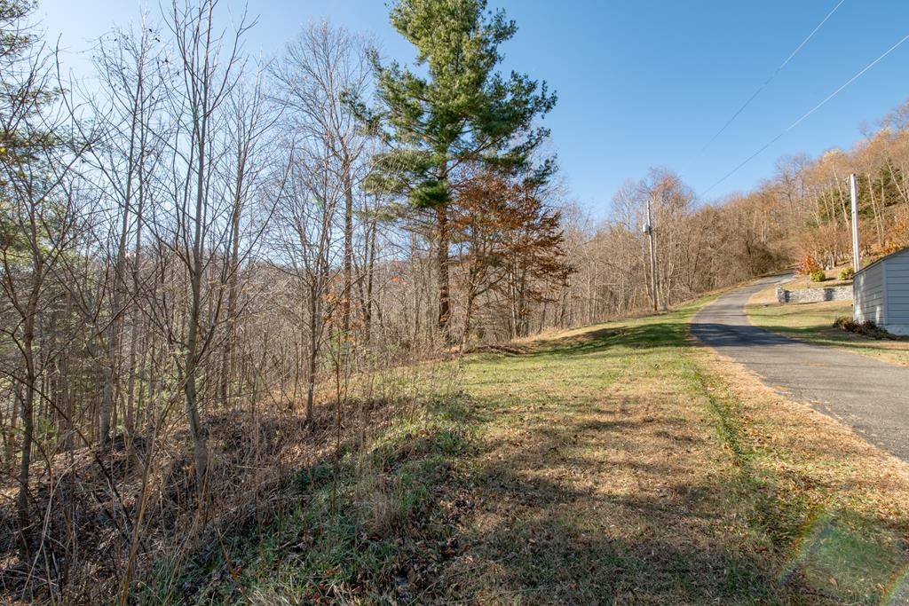 Fancy Gap, VA 24328,Lot 203 Covered Bridge Trl