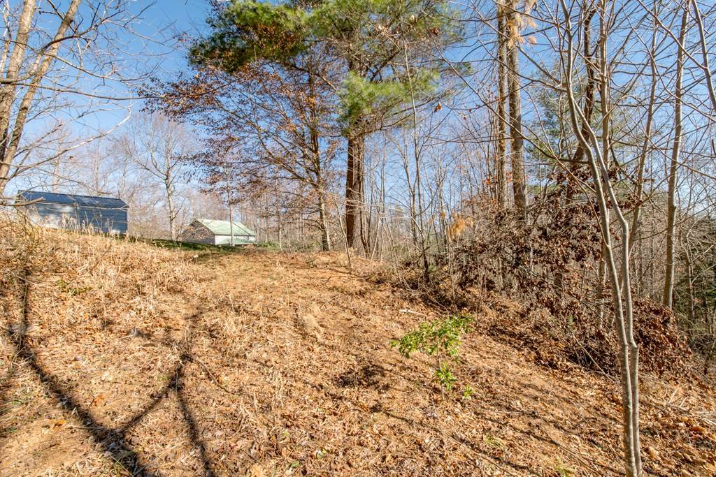 Fancy Gap, VA 24328,Lot 203 Covered Bridge Trl